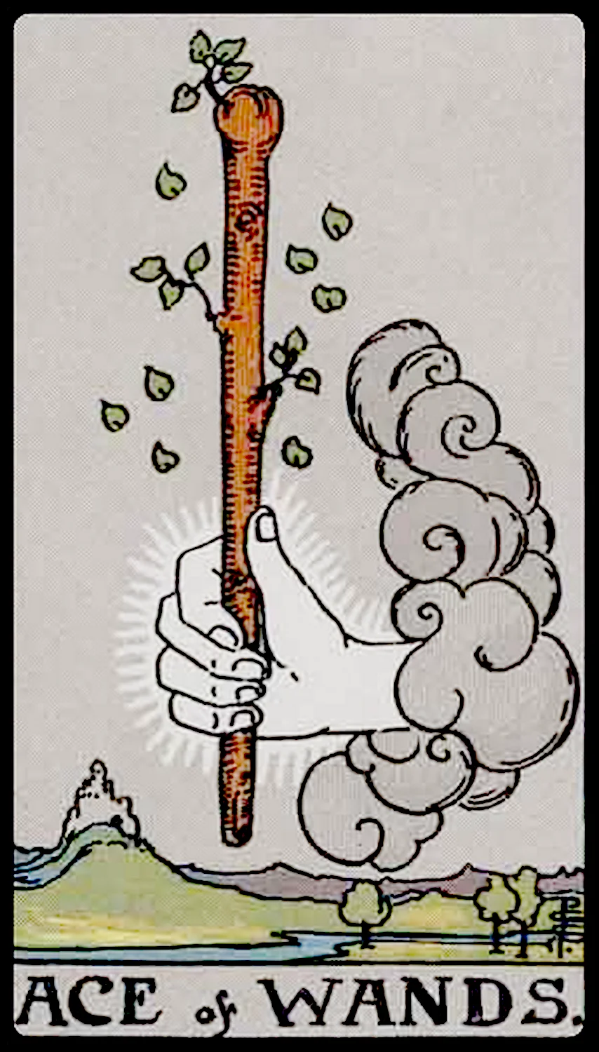 Ace of Wands